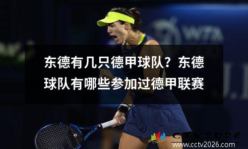 东德有几只德甲球队？东德球队有哪些参加过德甲联赛