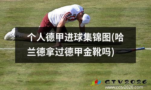 个人德甲进球集锦图(哈兰德拿过德甲金靴吗)