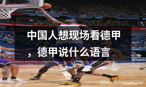 中国人想现场看德甲，德甲说什么语言