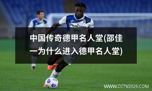 中国传奇德甲名人堂(邵佳一为什么进入德甲名人堂)