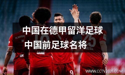 中国在德甲留洋足球 中国前足球名将