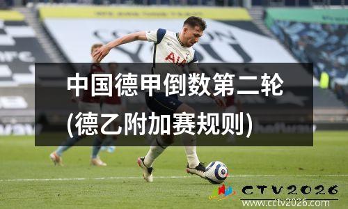 中国德甲倒数第二轮(德乙附加赛规则)