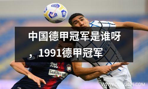中国德甲冠军是谁呀，1991德甲冠军