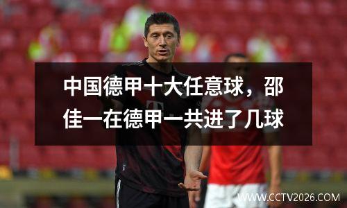中国德甲十大任意球，邵佳一在德甲一共进了几球