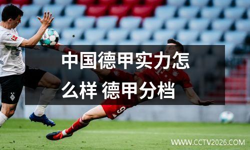 中国德甲实力怎么样 德甲分档