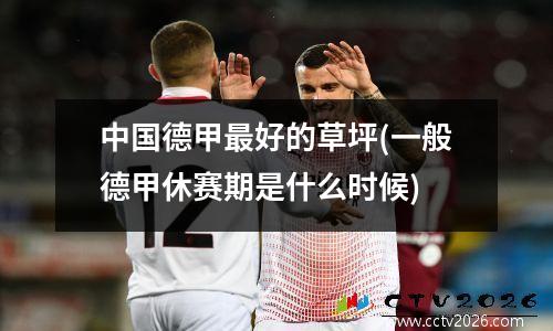 中国德甲最好的草坪(一般德甲休赛期是什么时候)