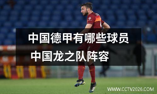 中国德甲有哪些球员 中国龙之队阵容