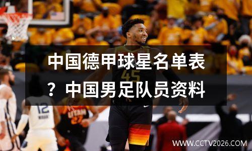 中国德甲球星名单表？中国男足队员资料