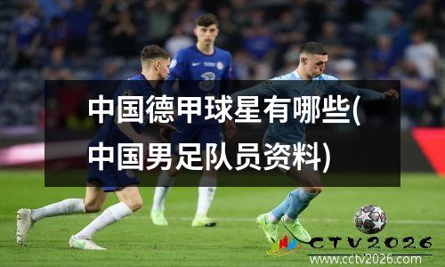中国德甲球星有哪些(中国男足队员资料)