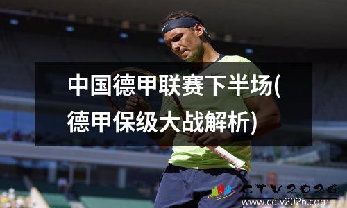 中国德甲联赛下半场(德甲保级大战解析)