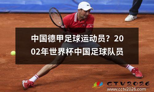 中国德甲足球运动员？2002年世界杯中国足球队员