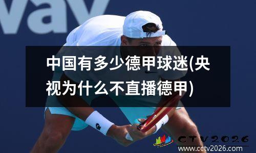 中国有多少德甲球迷(央视为什么不直播德甲)