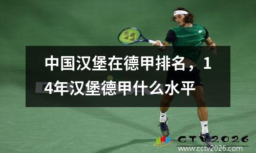 中国汉堡在德甲排名，14年汉堡德甲什么水平