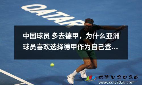 中国球员 多去德甲，为什么亚洲球员喜欢选择德甲作为自己登陆欧洲联赛的首选之地呢