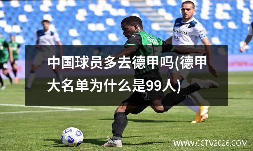 中国球员多去德甲吗(德甲大名单为什么是99人)