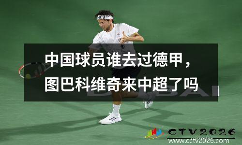 中国球员谁去过德甲，图巴科维奇来中超了吗