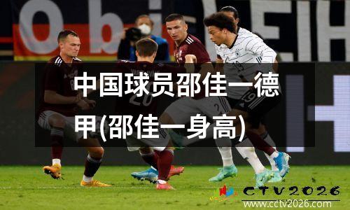 中国球员邵佳一德甲(邵佳一身高)