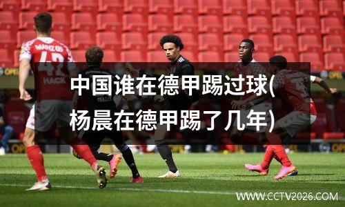 中国谁在德甲踢过球(杨晨在德甲踢了几年)