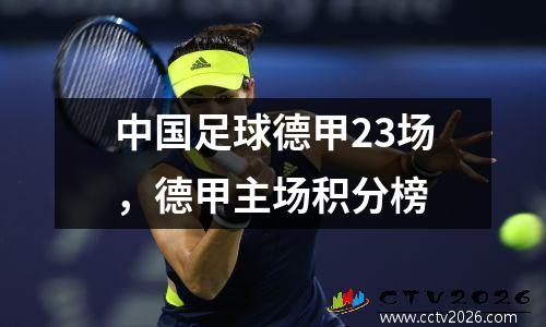 中国足球德甲23场，德甲主场积分榜