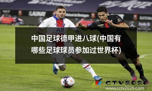 中国足球德甲进八球(中国有哪些足球球员参加过世界杯)
