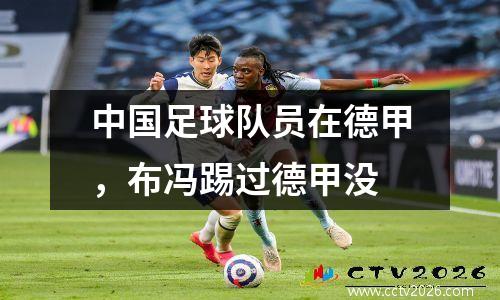 中国足球队员在德甲，布冯踢过德甲没