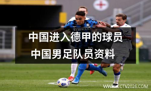 中国进入德甲的球员 中国男足队员资料