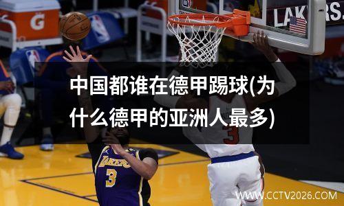 中国都谁在德甲踢球(为什么德甲的亚洲人最多)