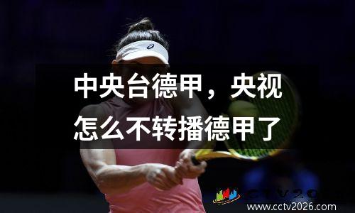 中央台德甲，央视怎么不转播德甲了