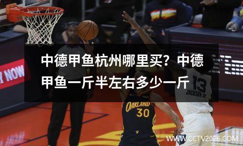 中德甲鱼杭州哪里买？中德甲鱼一斤半左右多少一斤