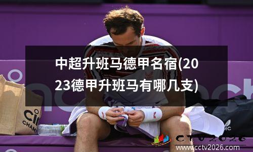 中超升班马德甲名宿(2023德甲升班马有哪几支)