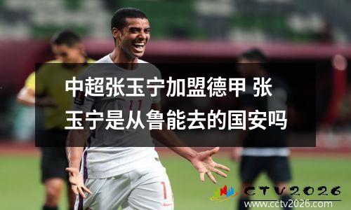 中超张玉宁加盟德甲 张玉宁是从鲁能去的国安吗