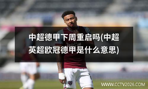 中超德甲下周重启吗(中超英超欧冠德甲是什么意思)