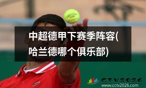 中超德甲下赛季阵容(哈兰德哪个俱乐部)