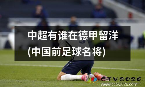 中超有谁在德甲留洋(中国前足球名将)