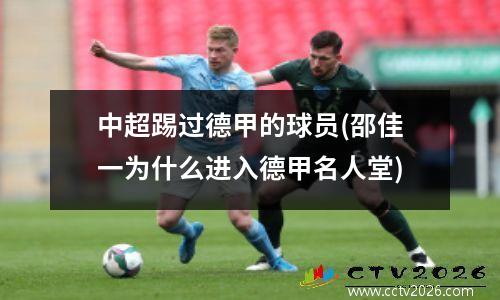 中超踢过德甲的球员(邵佳一为什么进入德甲名人堂)