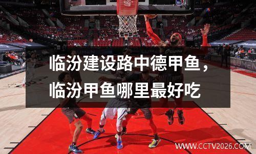 临汾建设路中德甲鱼，临汾甲鱼哪里最好吃