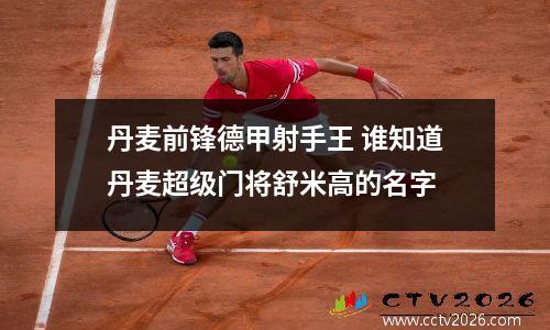 丹麦前锋德甲射手王 谁知道丹麦超级门将舒米高的名字