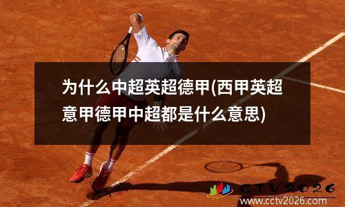 为什么中超英超德甲(西甲英超意甲德甲中超都是什么意思)