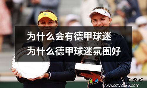 为什么会有德甲球迷 为什么德甲球迷氛围好