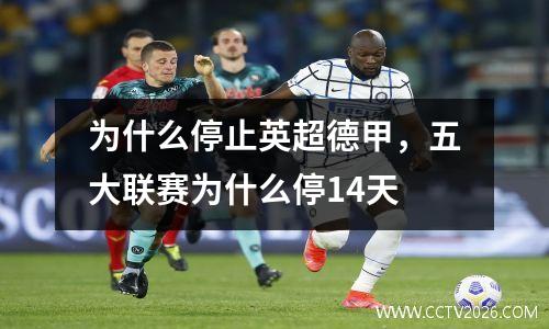 为什么停止英超德甲，五大联赛为什么停14天
