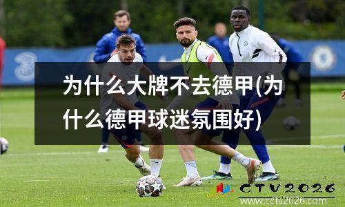 为什么大牌不去德甲(为什么德甲球迷氛围好)