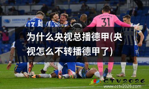 为什么央视总播德甲(央视怎么不转播德甲了)