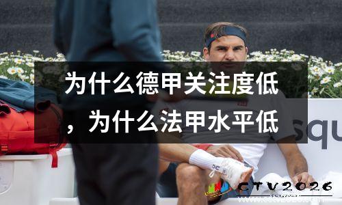 为什么德甲关注度低，为什么法甲水平低