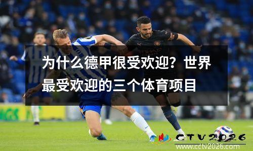 为什么德甲很受欢迎？世界最受欢迎的三个体育项目