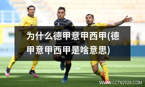 为什么德甲意甲西甲(德甲意甲西甲是啥意思)