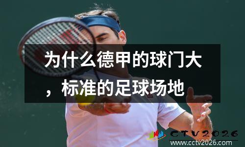 为什么德甲的球门大，标准的足球场地