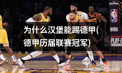 为什么汉堡能踢德甲(德甲历届联赛冠军)