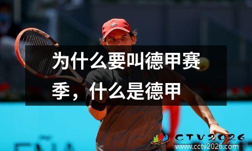 为什么要叫德甲赛季，什么是德甲