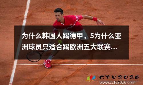 为什么韩国人踢德甲，5为什么亚洲球员只适合踢欧洲五大联赛的德甲联赛
