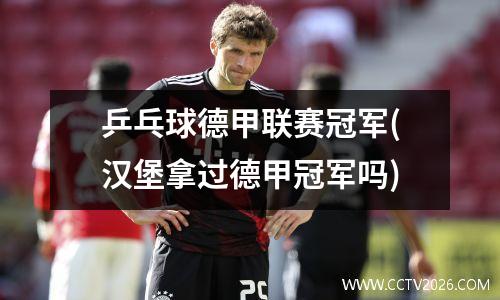 乒乓球德甲联赛冠军(汉堡拿过德甲冠军吗)